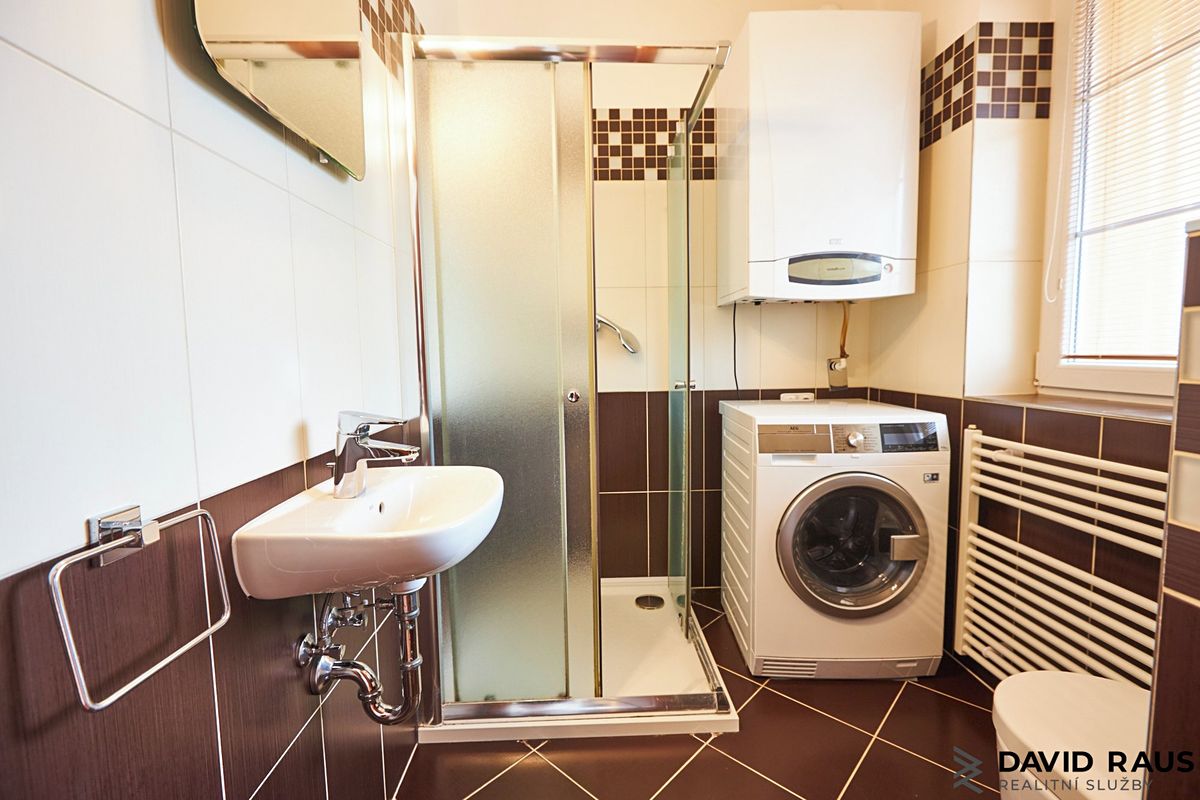 Pronájem rodinného domu 160 m², pozemek 521 m² – fotografie 5