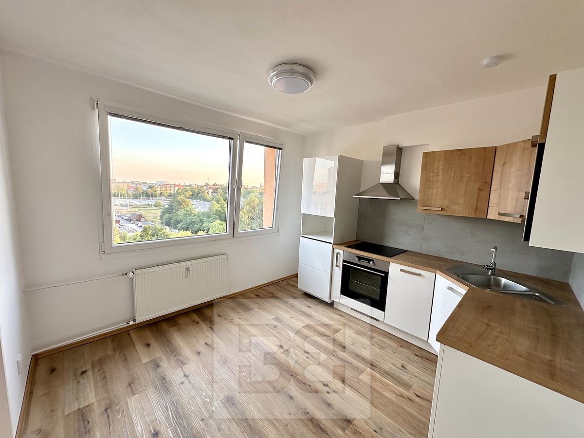 Pronájem bytu 1+1 39 m²