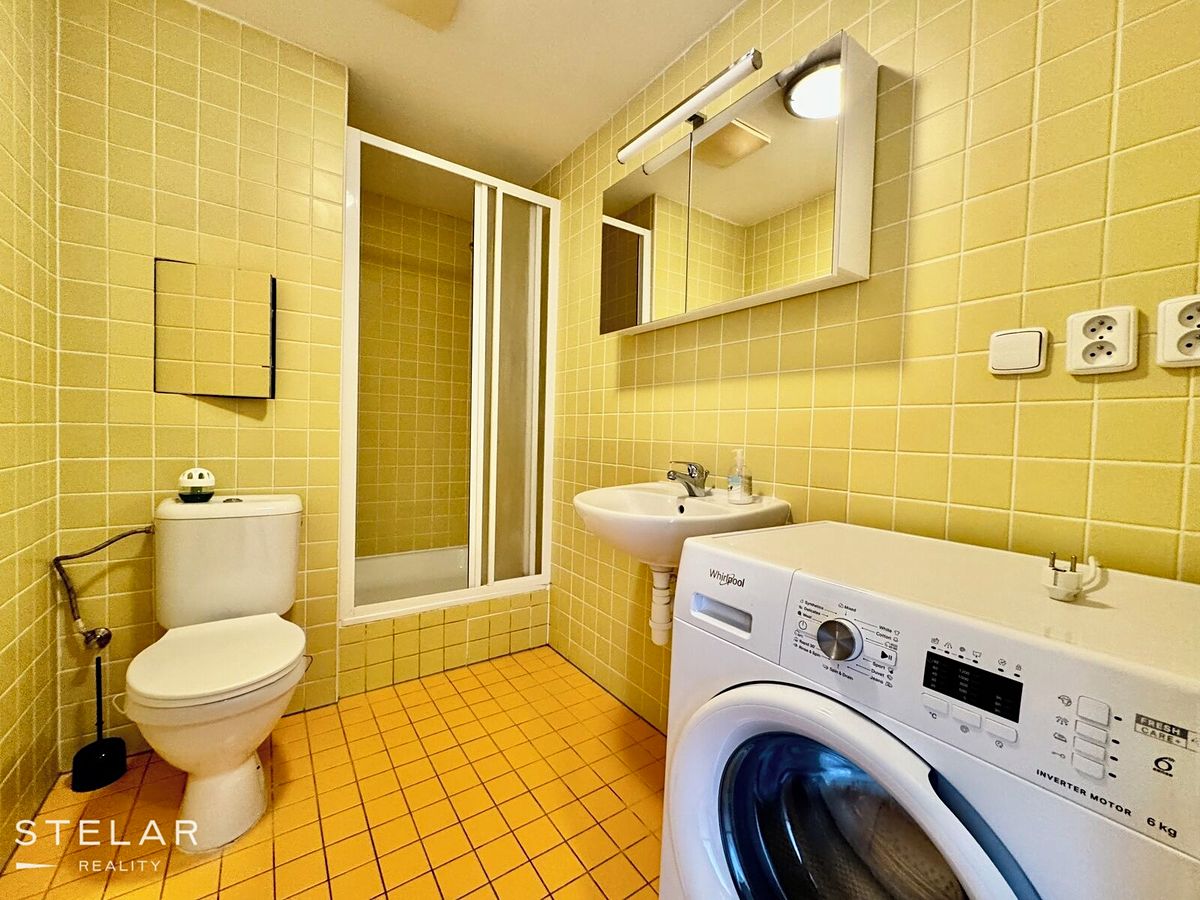 Pronájem bytu 1+kk 30 m² – fotografie 5