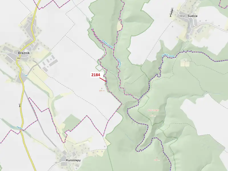 Dražba lesa 291 m², Březník – náhled fotky 1