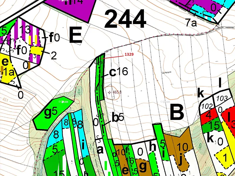 Dražba lesa 381 m², Vladislav – náhled fotky 3