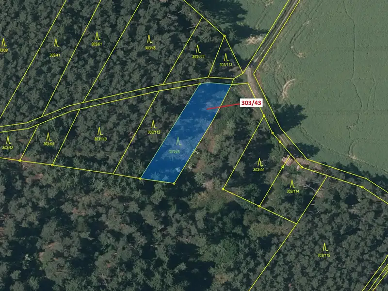 Dražba lesa 995 m², Břežany – náhled fotky 2