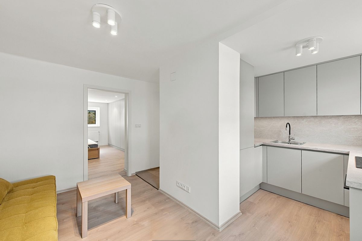 Pronájem bytu 2+kk 55 m² – fotografie 4