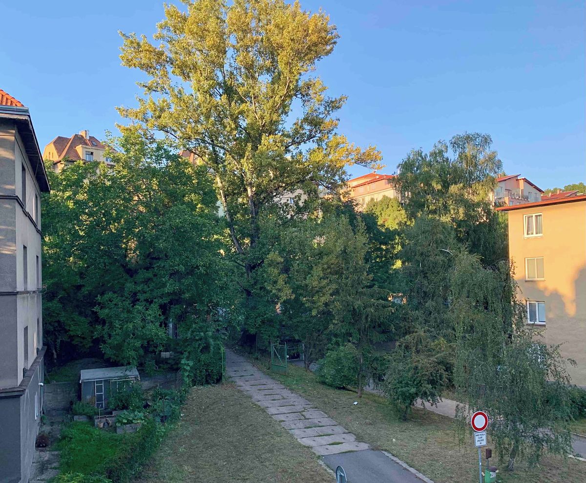 Pronájem bytu pokoje 17 m² – fotografie 4