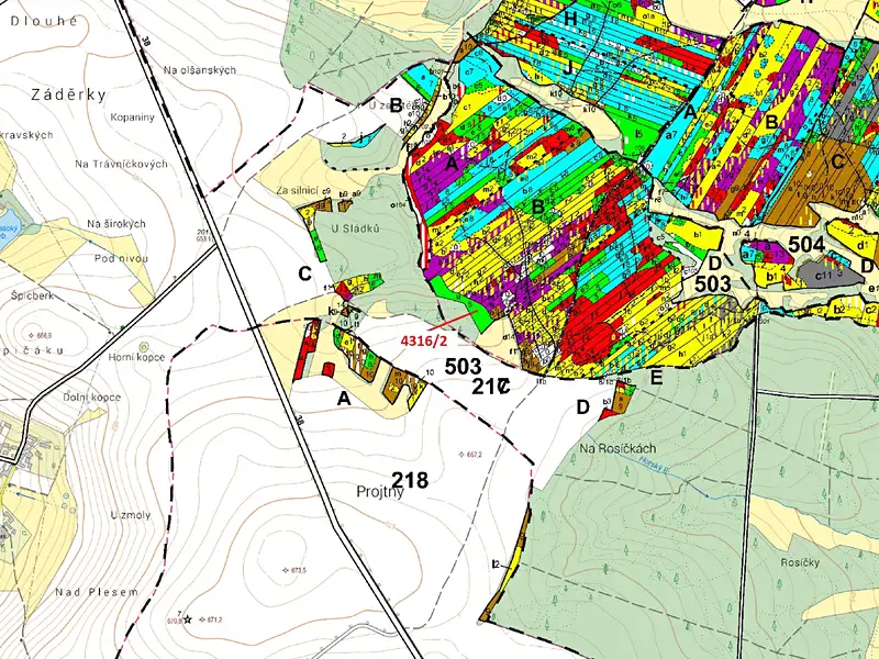 Dražba lesa 7085 m², Opatov – náhled fotky 3