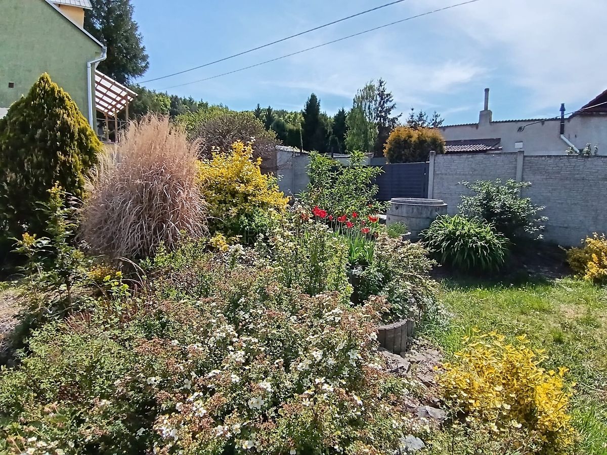 Prodej rodinného domu 200 m², pozemek 884 m² – fotografie 5