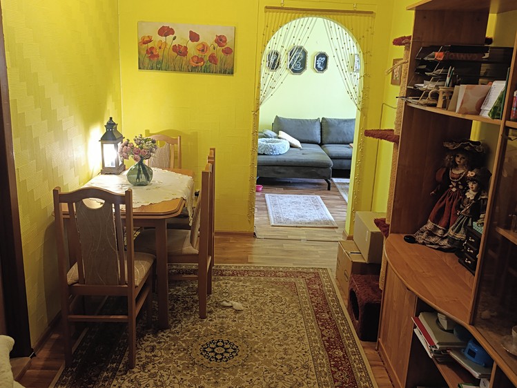 Prodej bytu 3+1, 71 m² (3 z 15)