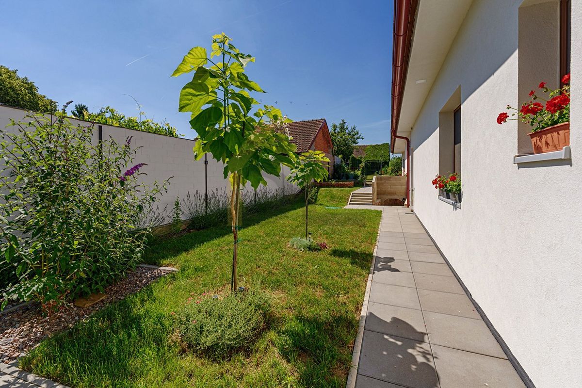 Prodej rodinného domu 164 m², pozemek 2943 m² – fotografie 4