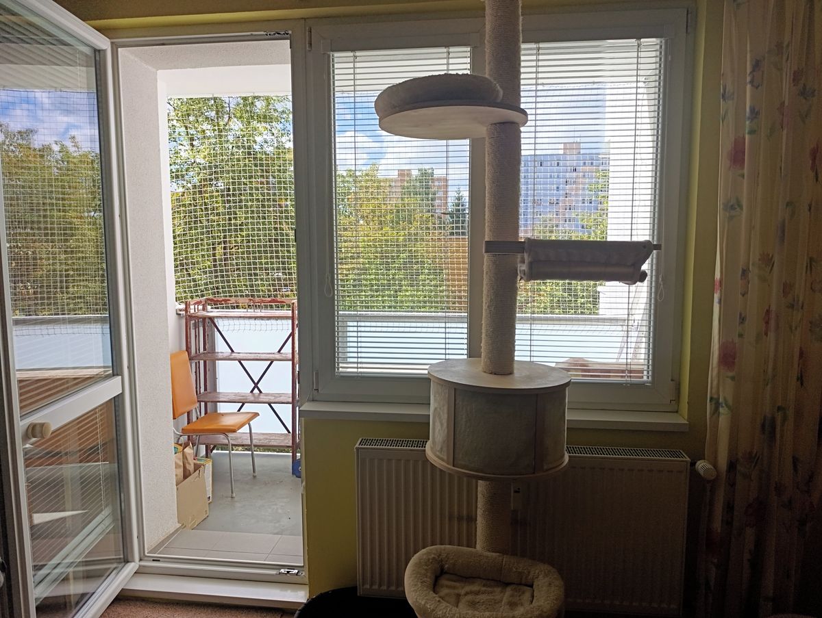 Prodej bytu 3+1 71 m² – fotografie 5