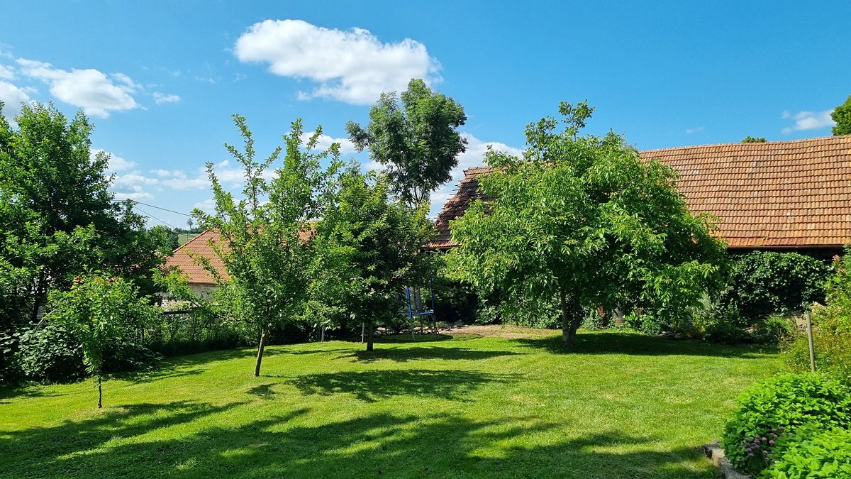 Prodej rodinného domu 200 m², pozemek 1325 m² – fotografie 3