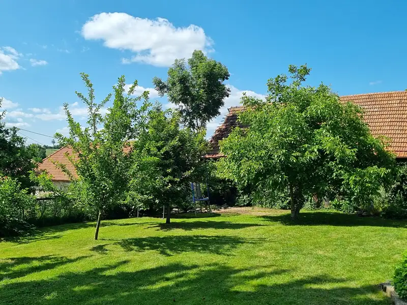 Prodej rodinného domu 200 m², pozemek 1325 m², Žďárná – náhled fotky 3