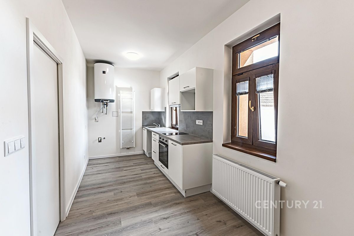 Pronájem bytu 1+1 39 m²