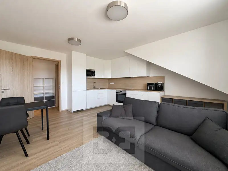 Prodej bytu 2+kk 66 m², Brno – náhled fotky 2