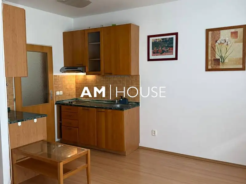 Pronájem bytu 1+kk 29 m², Praha – náhled fotky 1