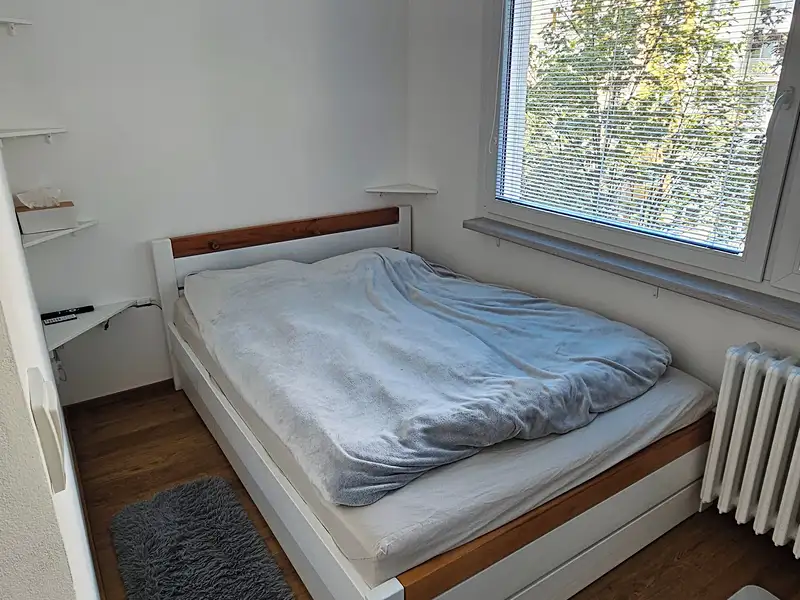 Prodej bytu 3+1 54 m², Hradec Králové – náhled fotky 3