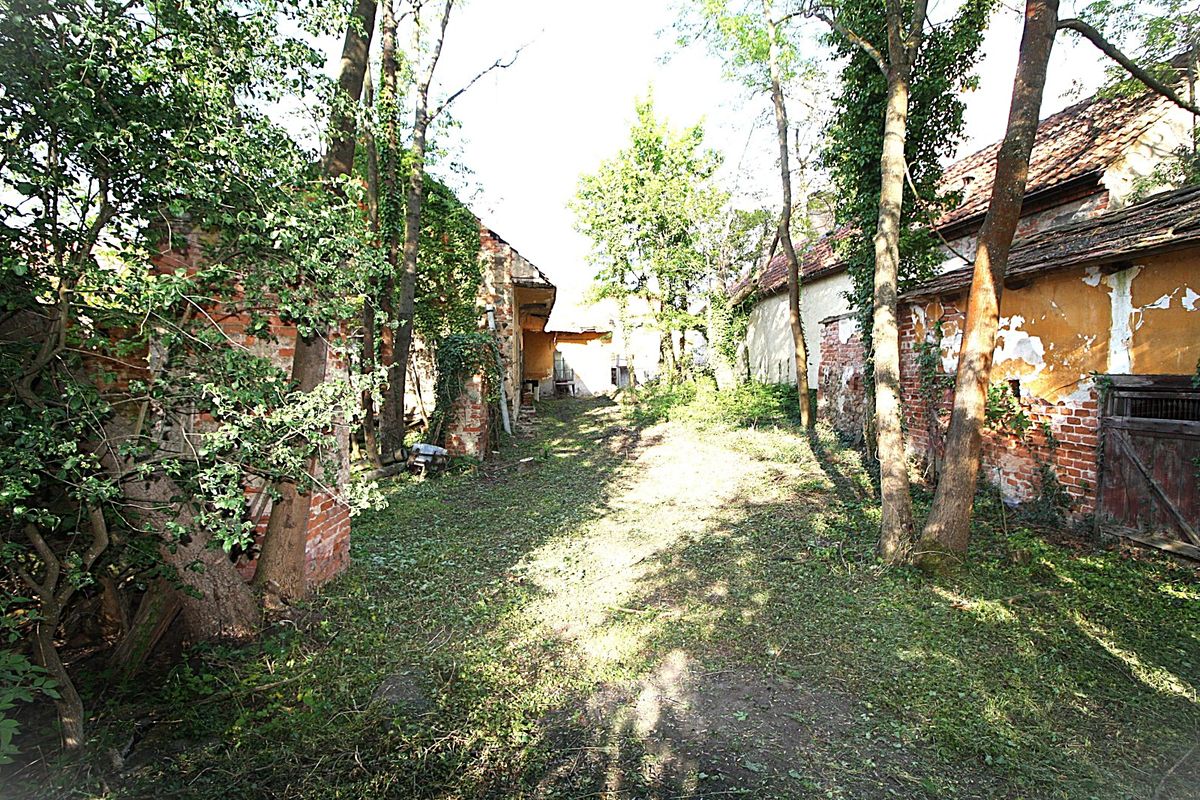 Prodej stavebního pozemku 2338 m² – fotografie 3