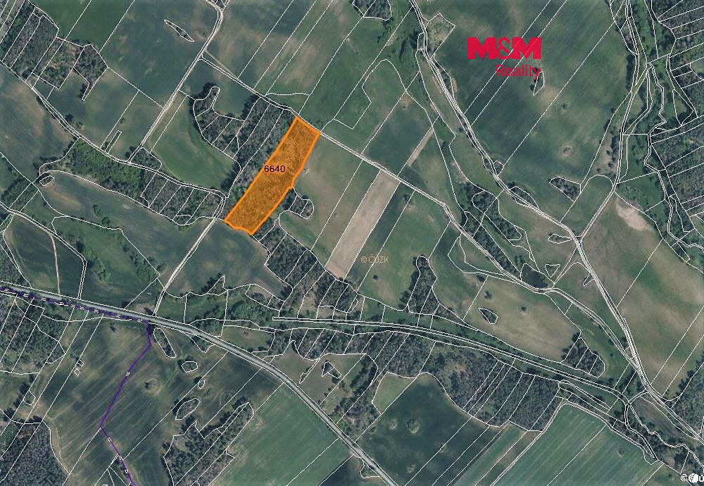Prodej lesa 3304 m²