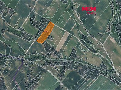 Prodej lesa 3304 m²