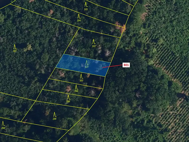 Dražba lesa 579 m², Jaroměřice nad Rokytnou – náhled fotky 2