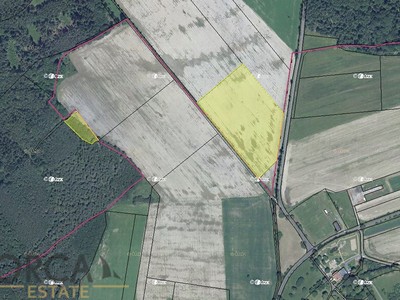 Prodej podílu 1/12  pole 2 916 m²