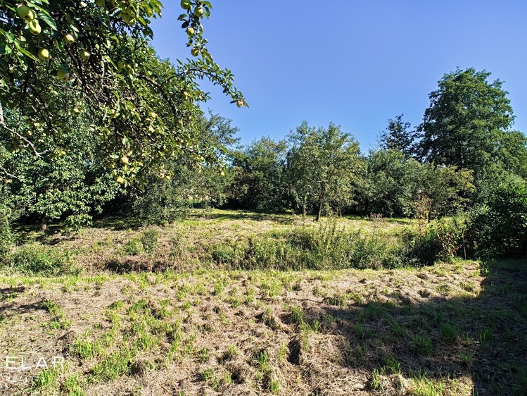 Prodej domu, 120 m² (6 z 17)