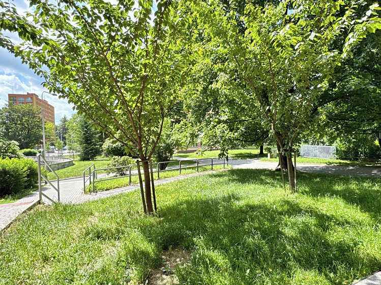Квартира 1+1 на продаж, 27 м² (18 з 19)