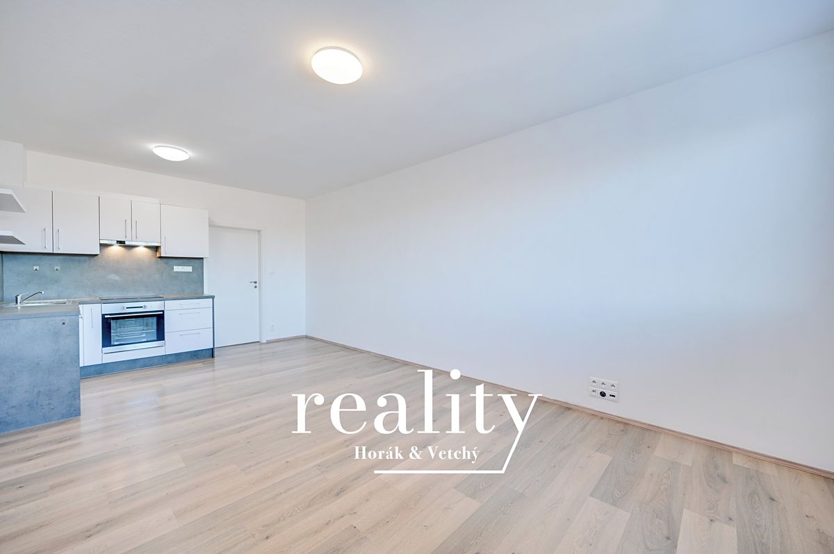 Pronájem bytu 1+kk 33 m² – fotografie 4