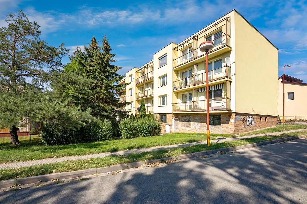Pronájem bytu 1+1 39 m² – fotografie 3