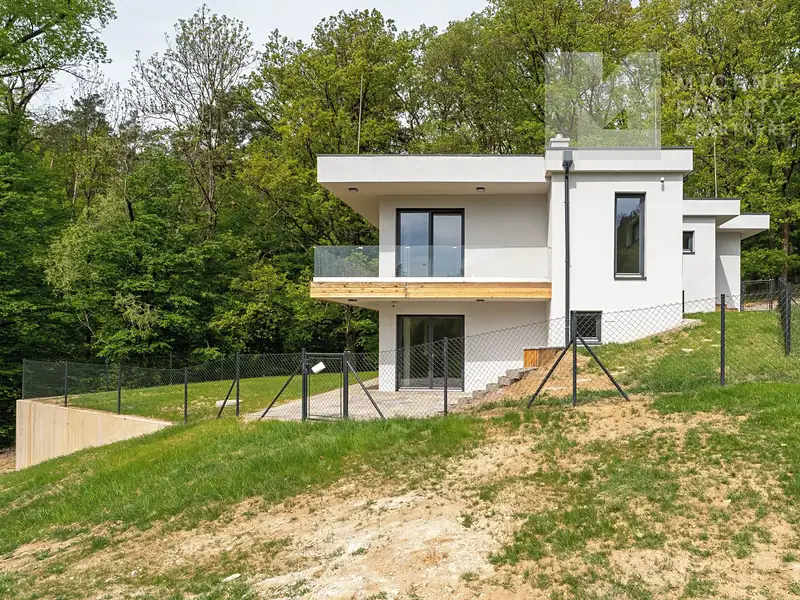 Prodej rodinného domu 256 m², pozemek 468 m², Rozdrojovice – náhled fotky 2
