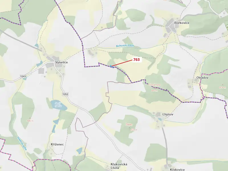 Dražba lesa 1498 m², Zvěstov – náhled fotky 1