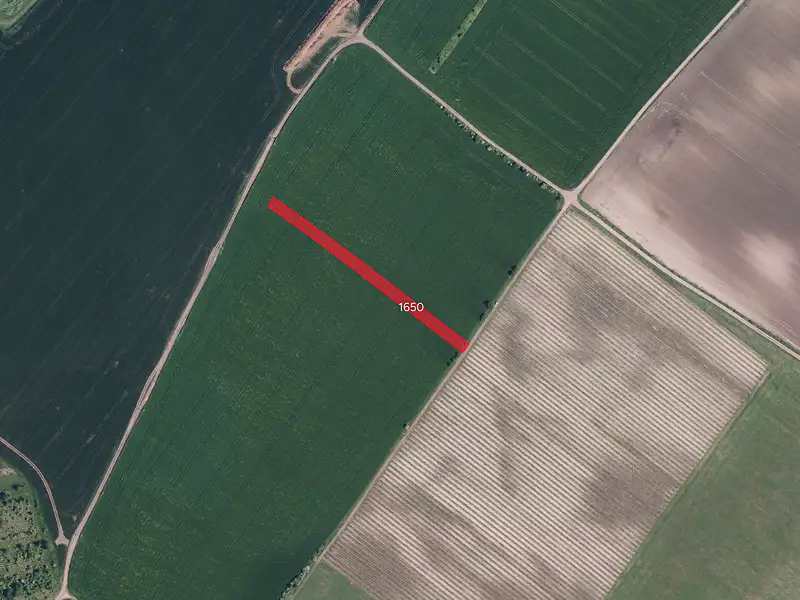 Prodej pole 10445 m², Násedlovice – náhled fotky 2