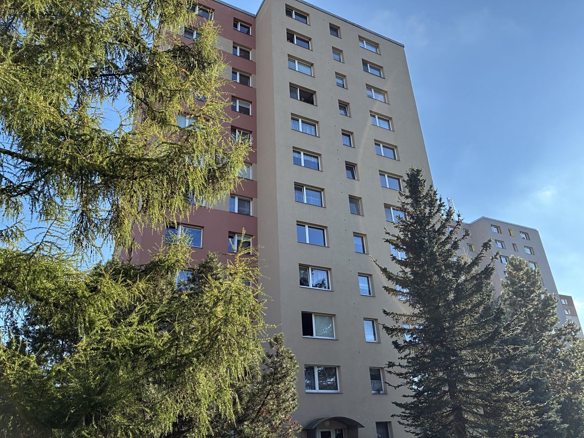 Prodej bytu 1+1 39 m²