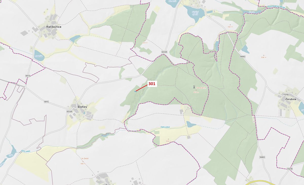 Dražba lesa 579 m², Jaroměřice nad Rokytnou – fotka 1 z 3