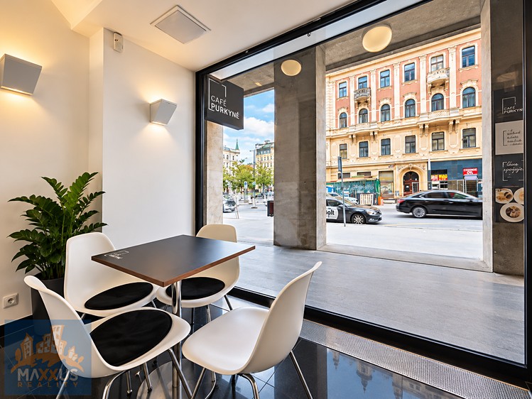 Pronájem komerčního prostoru, 145 m² (9 z 30)