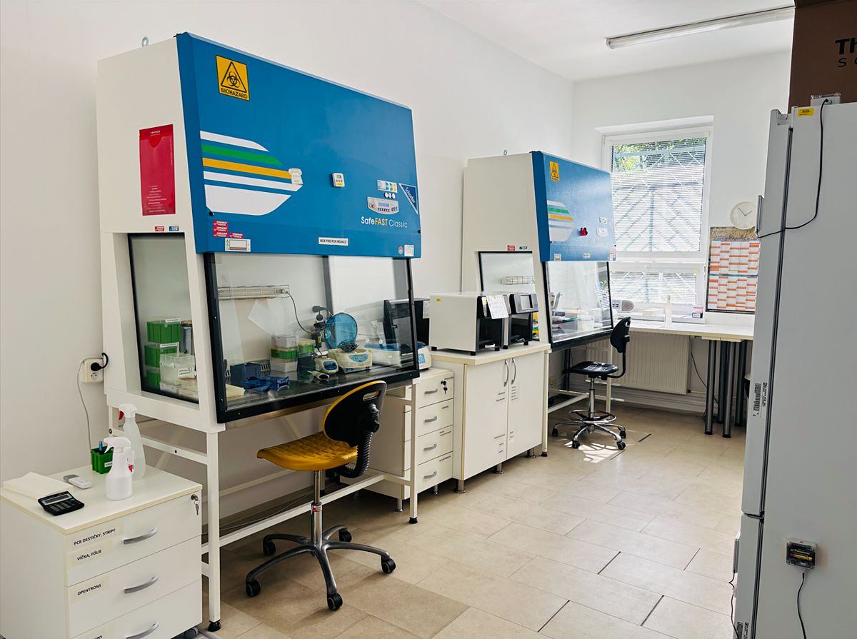 Pronájem ordinace 324 m² – fotografie 4