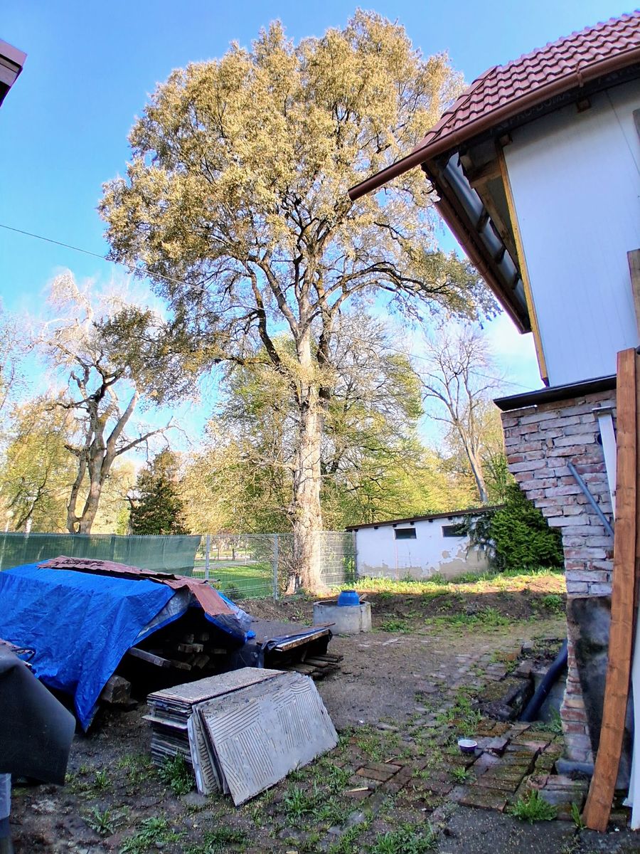 Prodej rodinného domu 147 m², pozemek 342 m² – fotografie 5