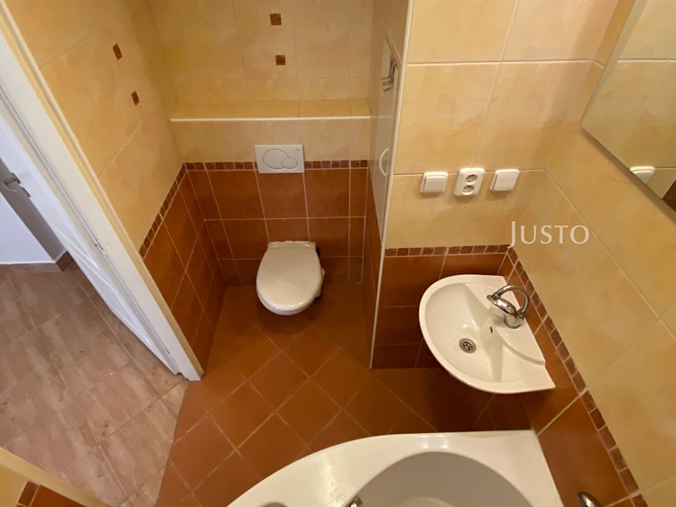 Pronájem bytu 2+1, 54 m² (8 z 15)