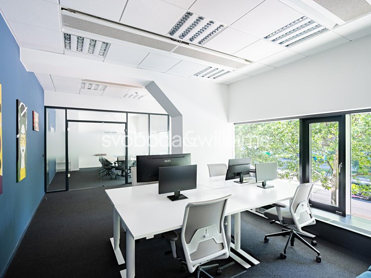 Pronájem komerčního prostoru, 341 m² (3 z 14)