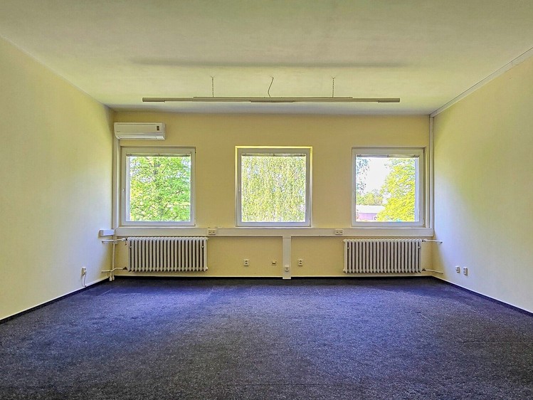 Pronájem komerčního prostoru, 156 m² (9 z 18)