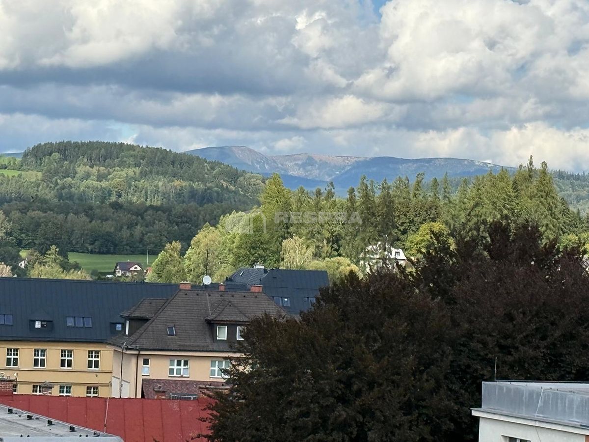 Pronájem bytu 1+1 41 m²