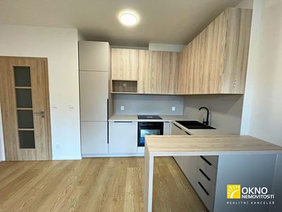 Pronájem bytu 1+kk 39 m²