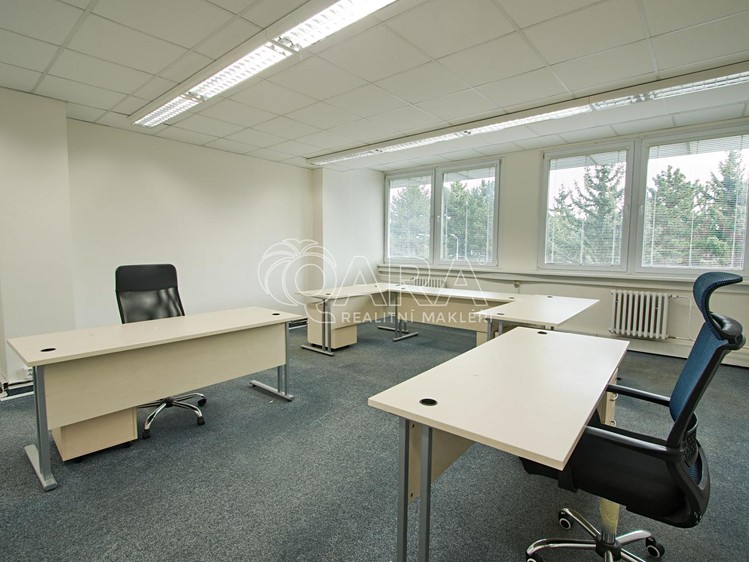 Pronájem komerčního prostoru, 650 m² (12 z 12)