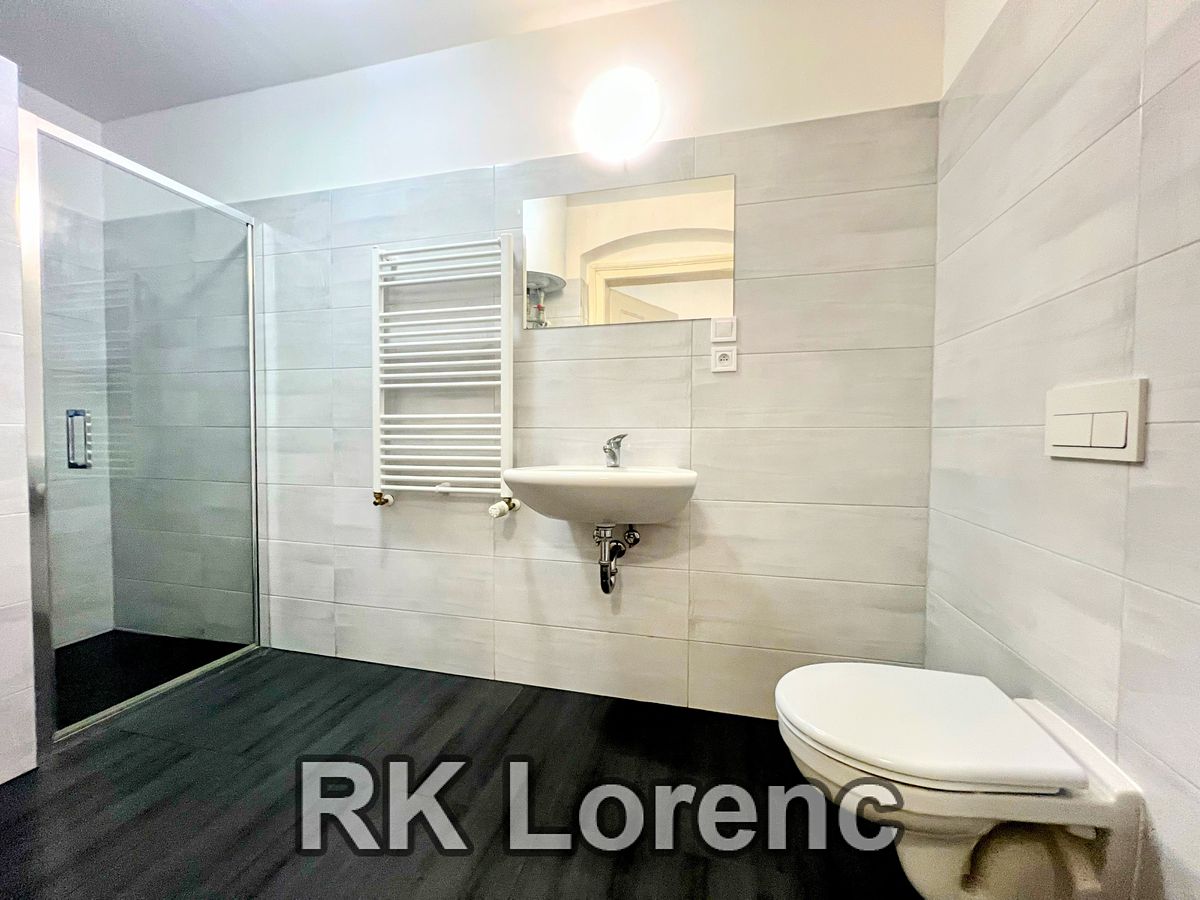 Pronájem bytu 2+kk 42 m² – fotografie 4