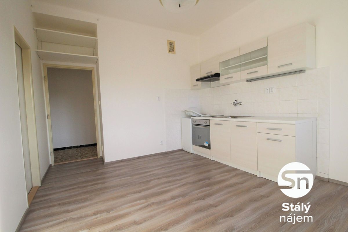 Pronájem bytu 1+1 43 m² – fotografie 3