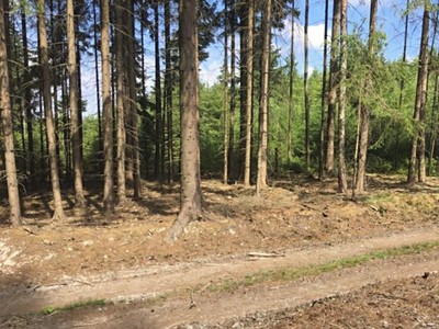 Grundstück zum Kauf, 35.398 m² (3 von 3)
