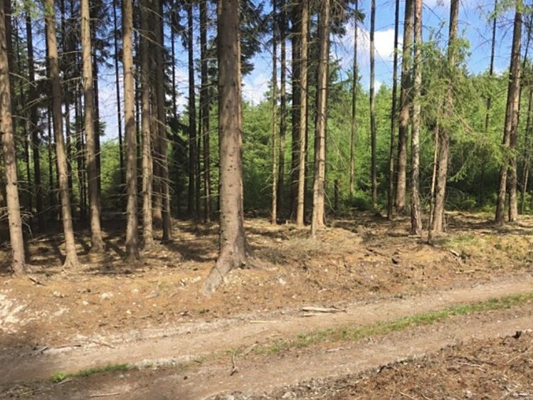 Grundstück zum Kauf, 35.398 m² (3 von 3)