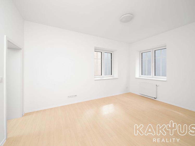 Wohnung 1+1 zur Miete, 42 m² (5 von 12)