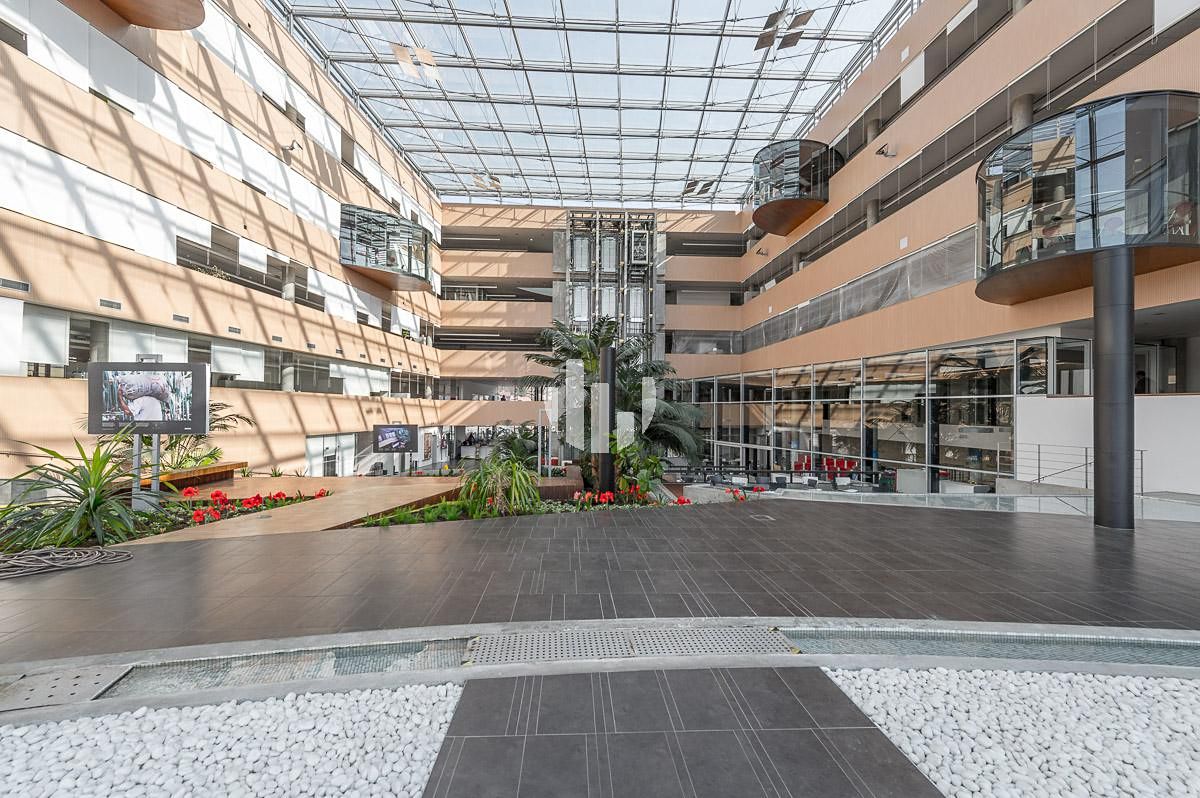 Pronájem kanceláře 300 m² – fotografie 2