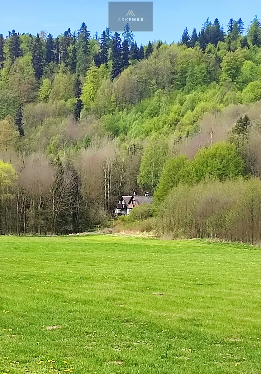 Fotka 19 z 19