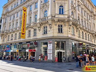 Pronájem komerčního prostoru, 30 m² (2 z 9)